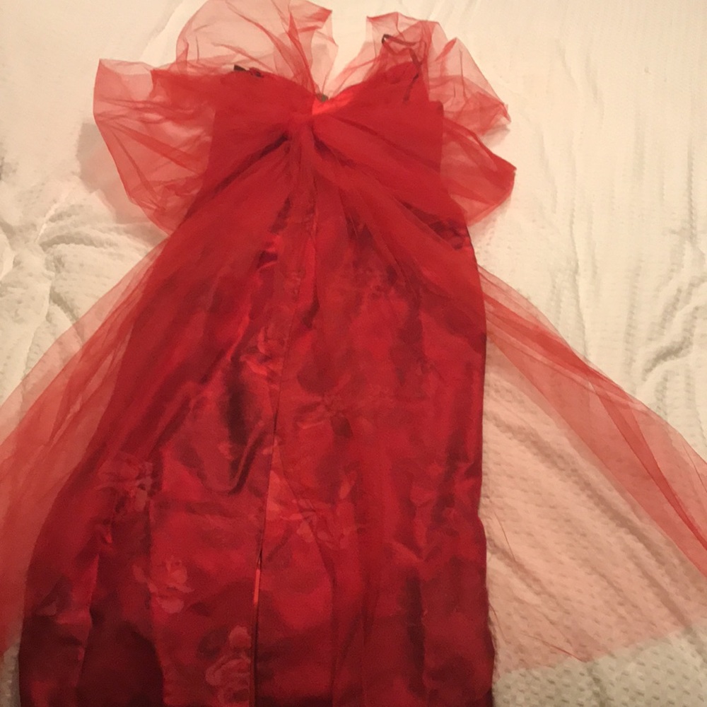 Dana Deatherage - Picture 12 of 13